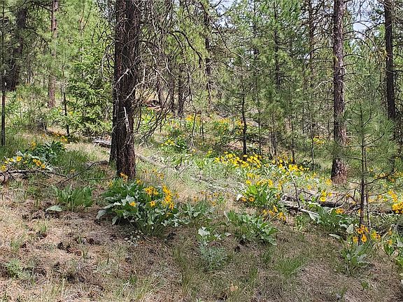 5th image of 6 Lot Okanogan River Ranches Div 1