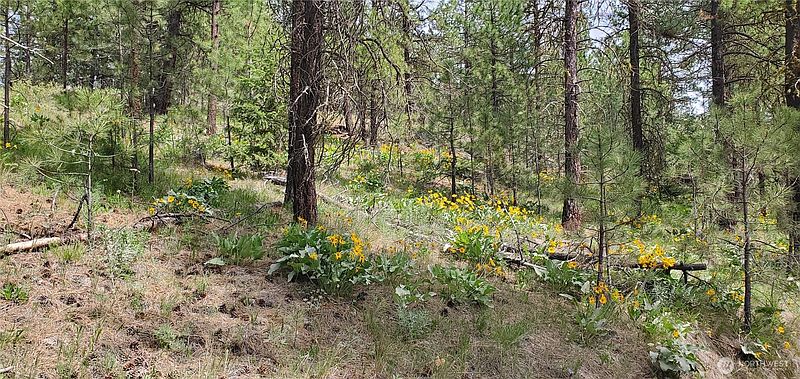 5th image of 6 Lot Okanogan River Ranches Div 1
