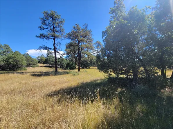 64 Rim Dr #1, Los Ojos, NM 87551