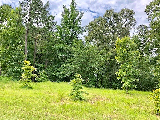 2nd image of 208 Barefield Ct