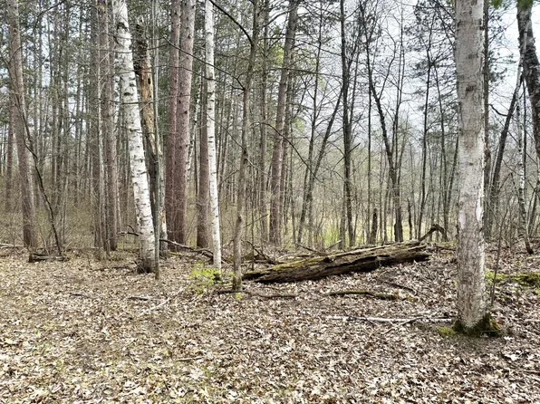 Norway Pine Ln, Emily, MN 56447