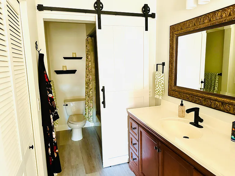 Primary bath/dressing area