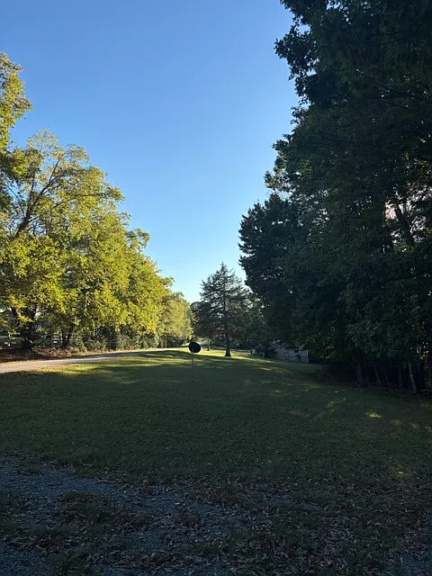 2 bed, 980 sqft, $1,000 — Photo 3
