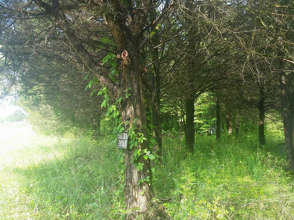 2nd image of 423 Doug Luna Rd