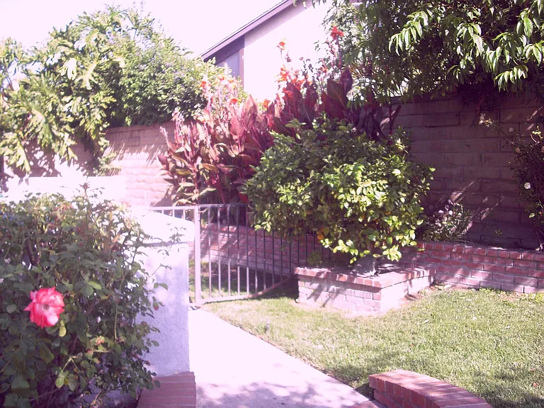 27855 Narciso — Photo 42