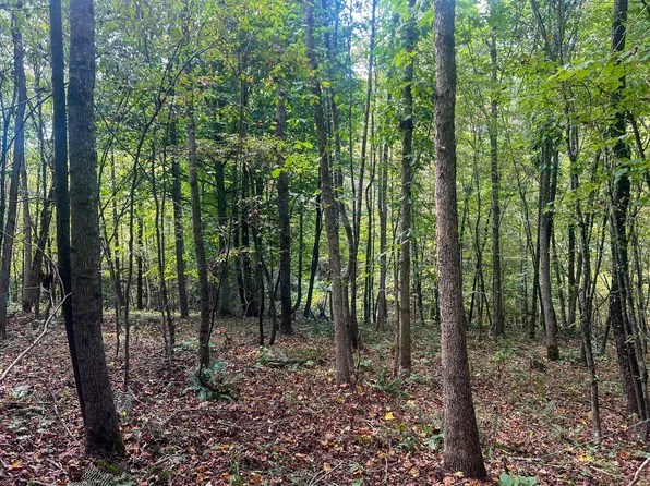 TRACT 3 Mount Carmel Rd, Vinton, OH 45686