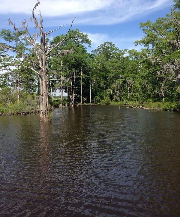 2nd image of 119 Pailin Creek Road LOT 20