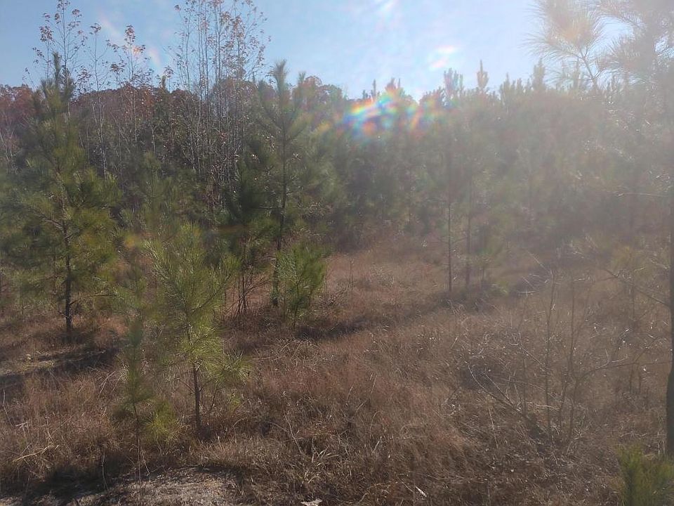 1st image of 239 Lick Creek Dr