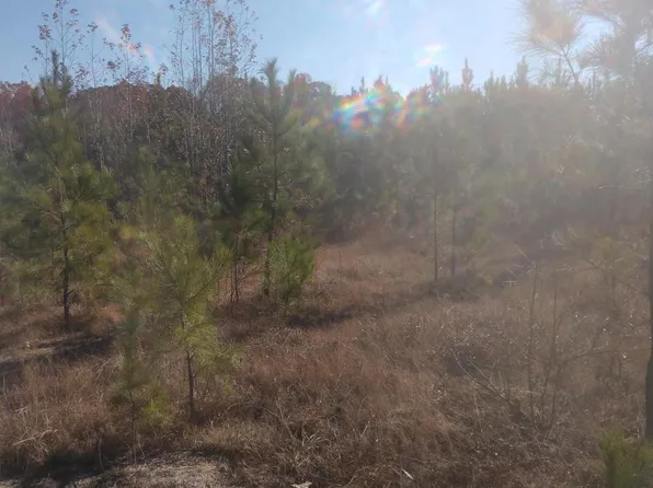 239 Lick Creek Dr, Carthage, NC 28327