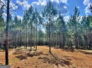 10 Bagley Rd, Forsyth, GA 31029