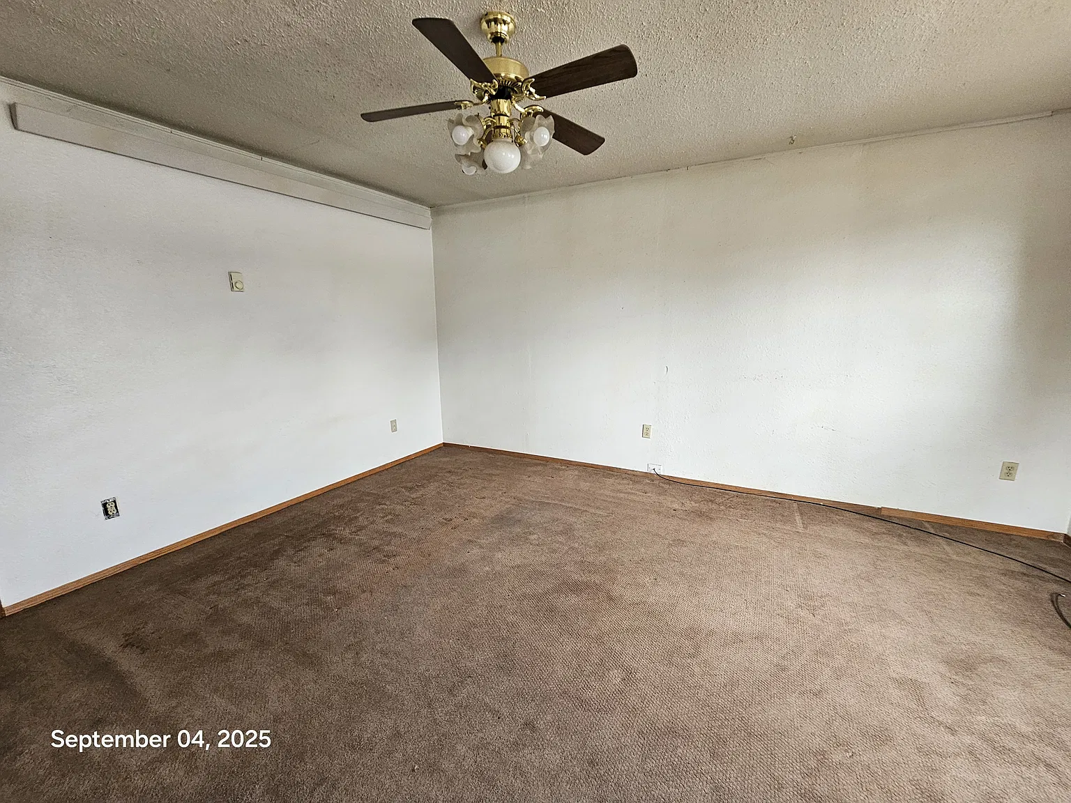 1 bed, $900 — Photo 3