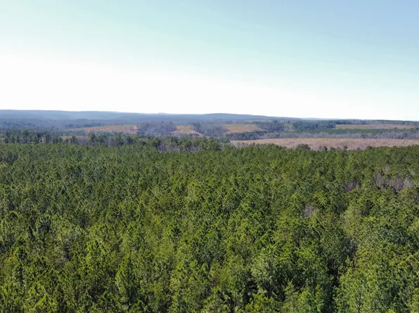 3 Fredonia Rd, Dunlap, TN 37327