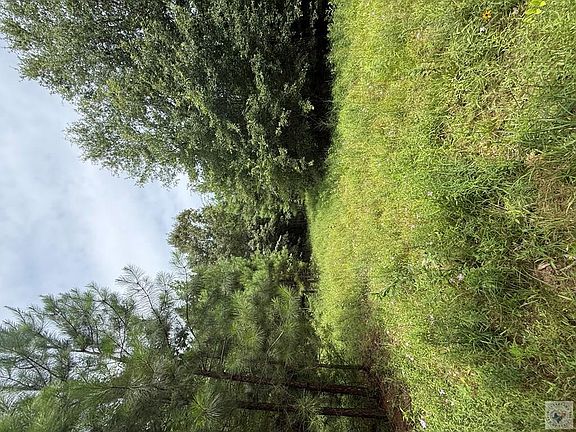 5th image of 4529 Parker Ln #12