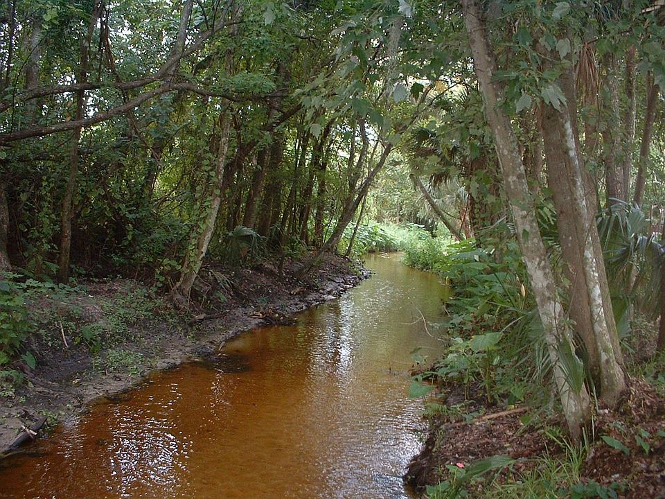 Creek back yard