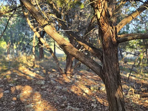 203 Palm LOT 23, Spring Branch, TX 78070