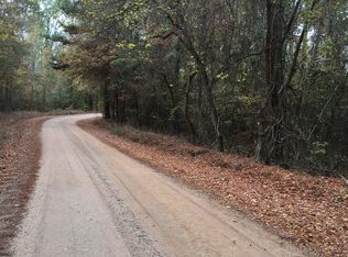 0 Hwy 87 #100, Forsyth, GA 31029