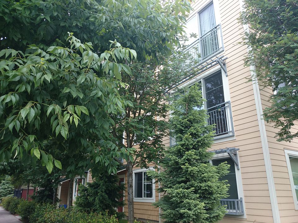 1st image of 1220 E Columbia St Unit 203