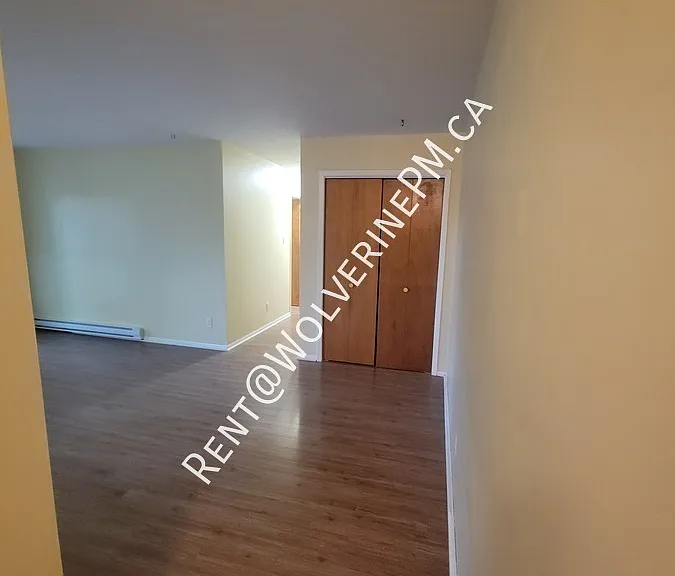 157 Prince St #11 — Photo 4