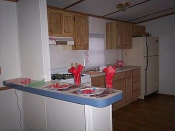 Kitchen Foo Foo 5.jpg