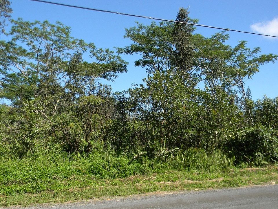 1st image of 12th Ave Lot 1378