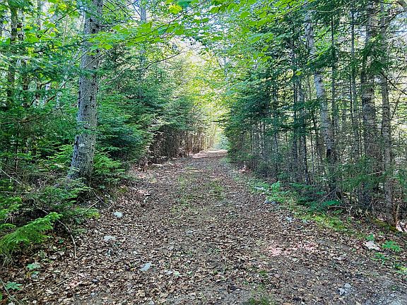 5th image of 557 Paul Bunyan Road