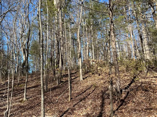 Dooley Dr, Basye, VA 22810