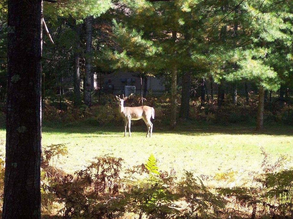 1st image of Woodland Cir Lot 29
