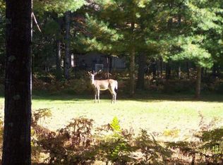 Woodland Cir LOT 29, Minocqua, WI 54548