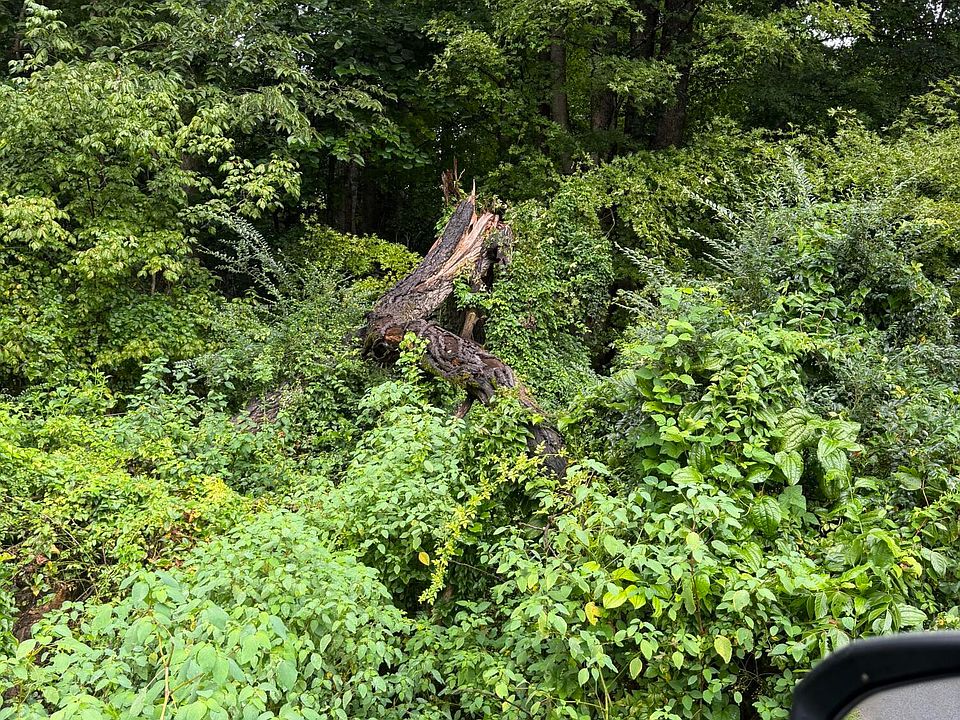 2nd image of 110 Daddy Moore Rd