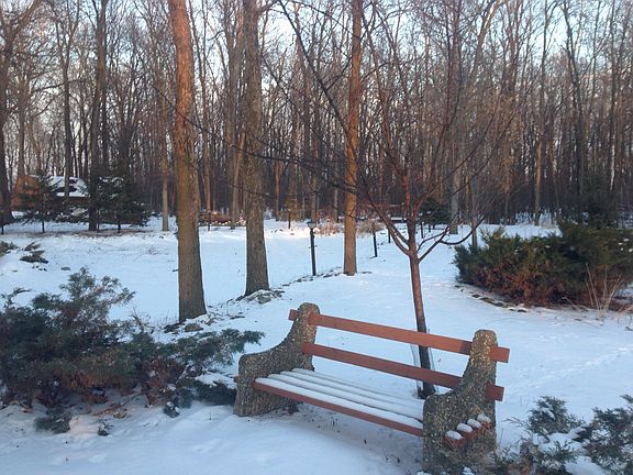 Park Bench at edge of pond