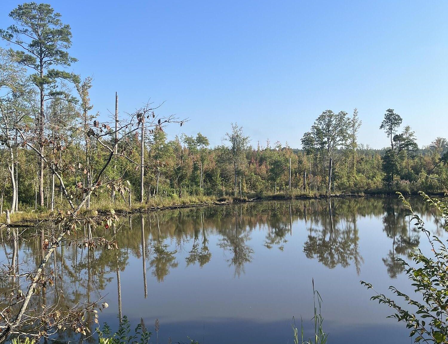 1 Attala Rd 3027, Kosciusko, MS 39090 MLS 4055371 Zillow