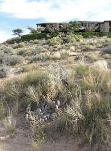 Lot View 4