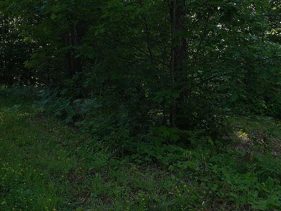 4th image of LOT 83 Thirteen Ashwabay Rd