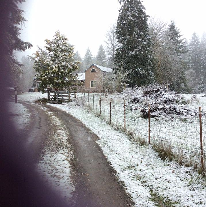 2nd image of 40310 Upper Calapooia Dr