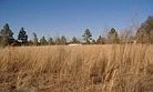 Live Oak, Seller financing on this 1 acre parcel just right