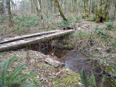 67193 E Barlow Trail Rd, Rhododendron, OR, 97049