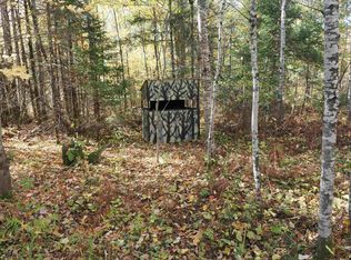315 Airport Rd, Crystal Falls, MI 49920