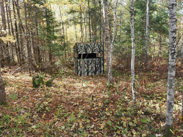 315 Airport Rd, Crystal Falls, MI 49920