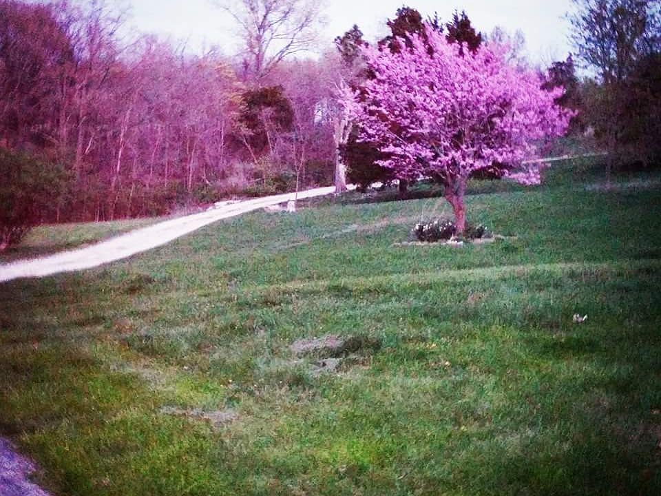 2nd image of 99 Fischer Ln