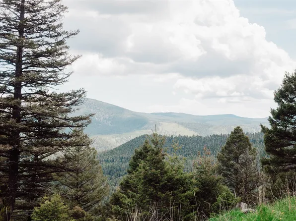 230 Iron Horse Rd Lot 24, Helmville, MT 59843