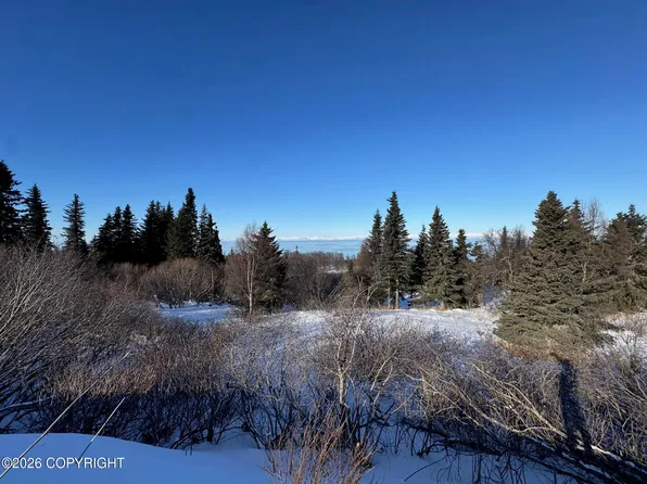 L7 Mead Ct, Clam Gulch, AK 99568