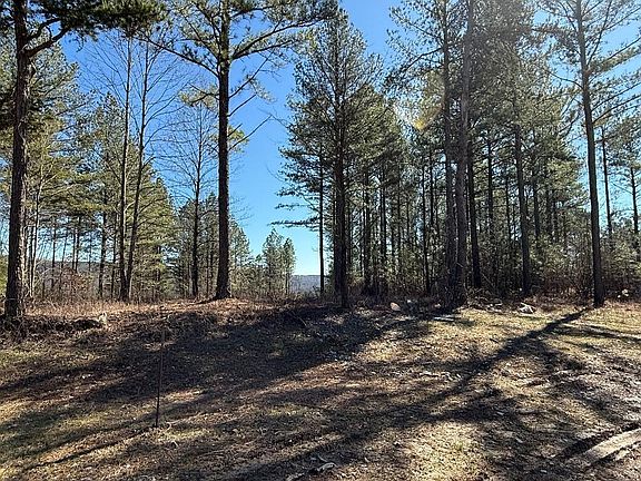 4th image of 3970 Split Rail Way Lot 1375