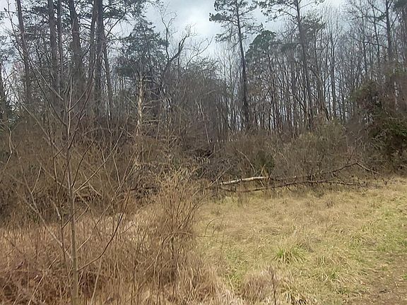 3rd image of 710 Robbins Perch Trl
