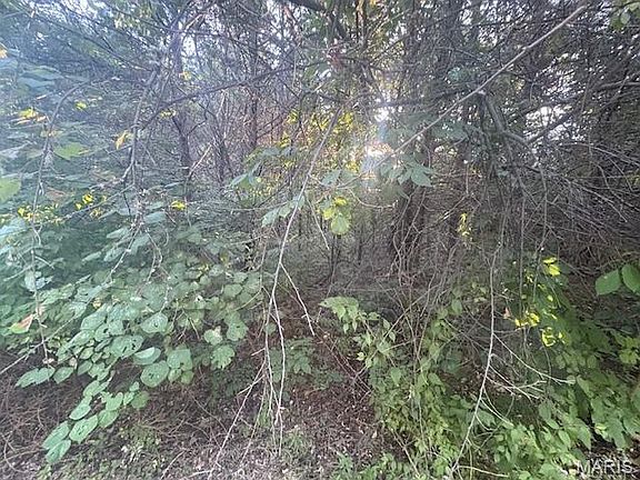 5th image of 0 Jefferson Davis Dr