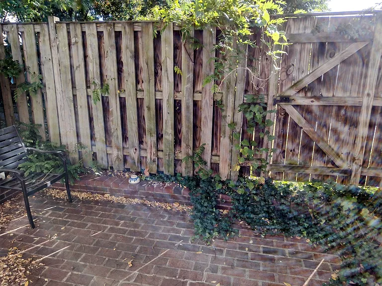 Peaceful, quiet patio facing away from the street