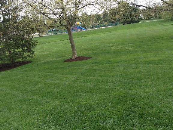 Park in back yard