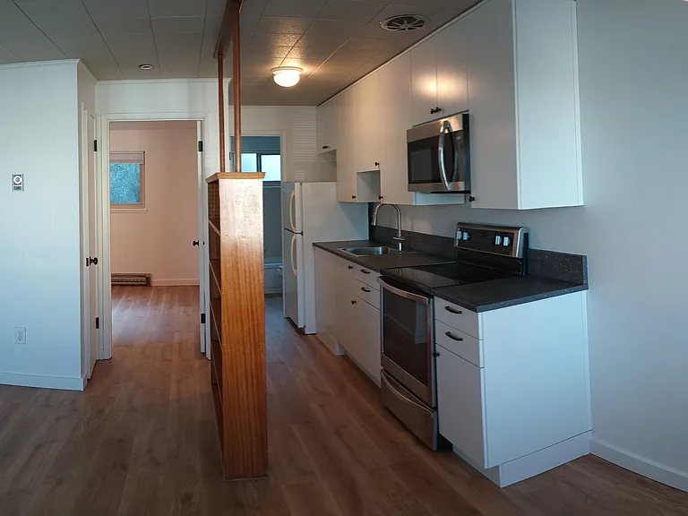 Brand new kitchen with 40" high upper cabinets for lots of storage.