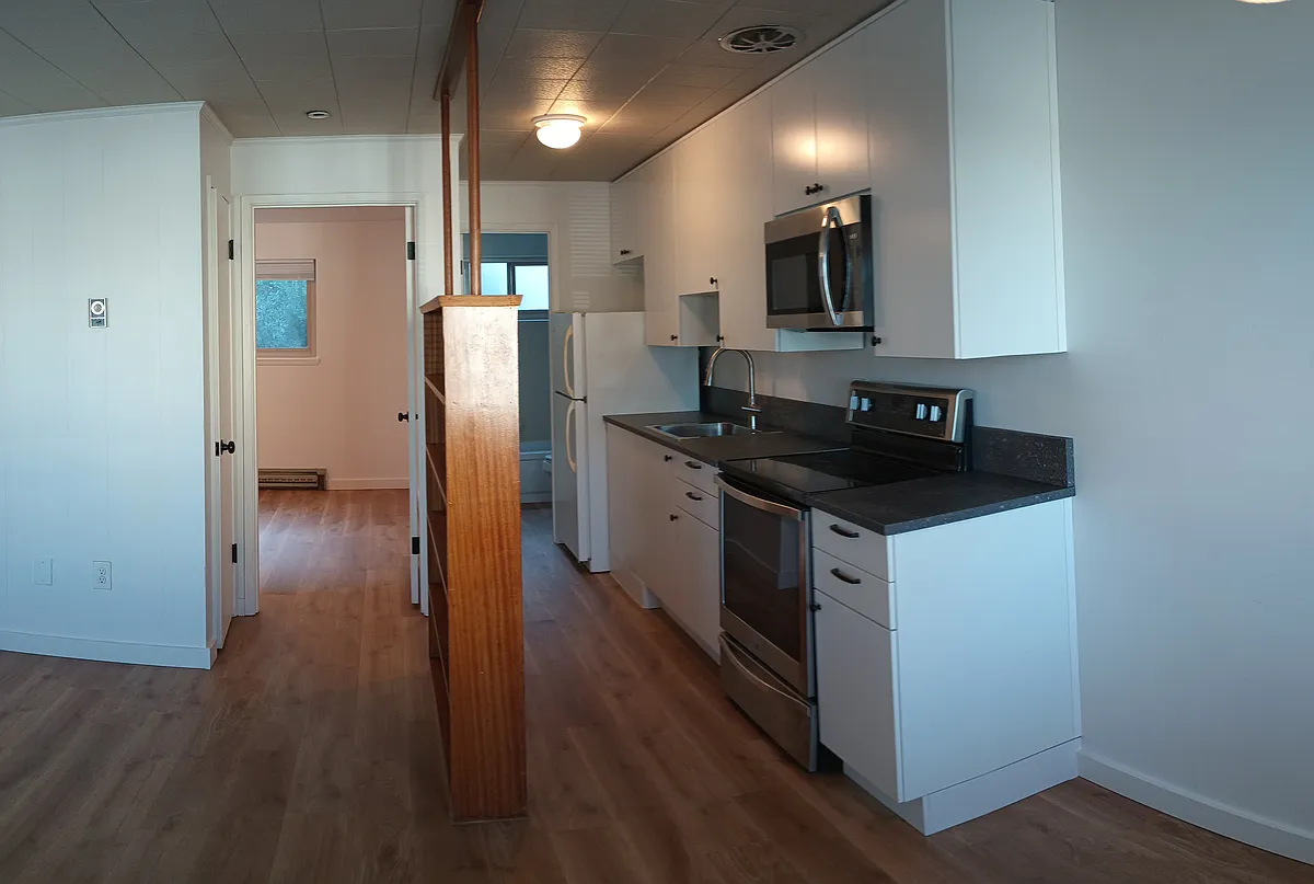 Brand new kitchen with 40" high upper cabinets for lots of storage. - 1301 W Emerson St #3