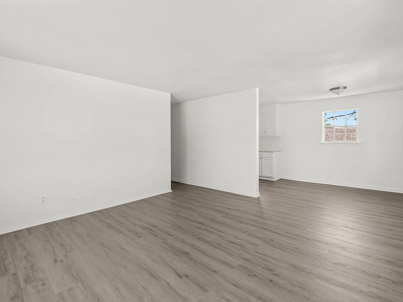 1425 Hibernian St. - 1 — Photo 3