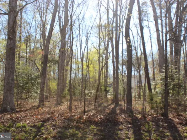 2296 Buccaneer Blvd, Greenbackville, VA 23356